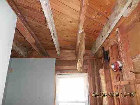 12851 Terry (10)_m.jpg